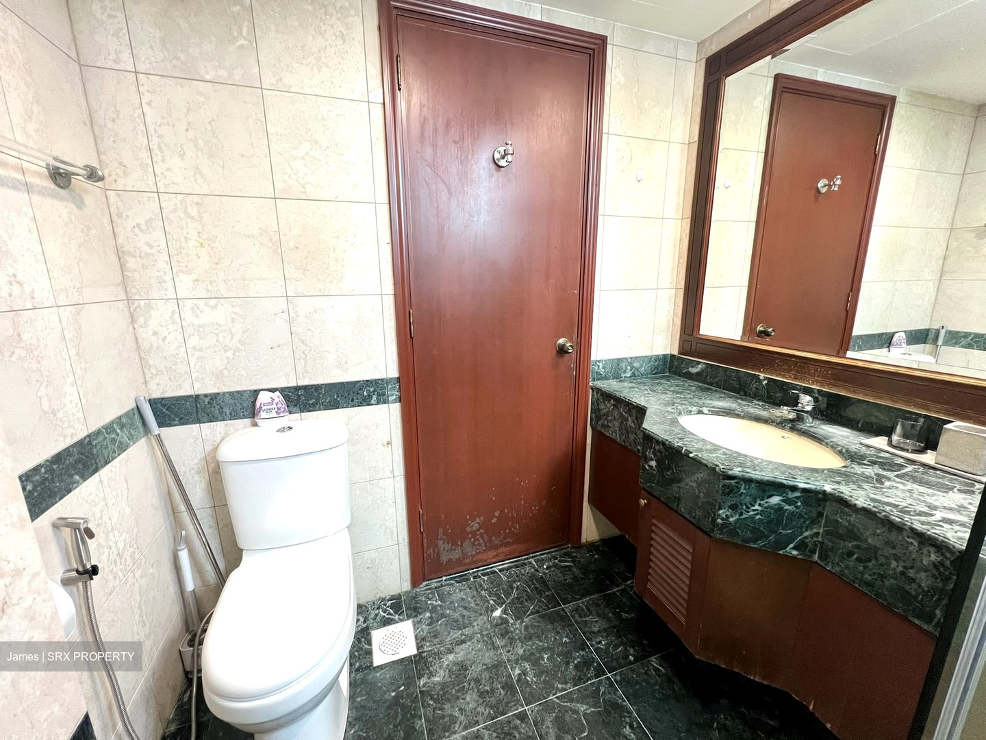 Hazel Park Condominium (D23), Condominium #614519091